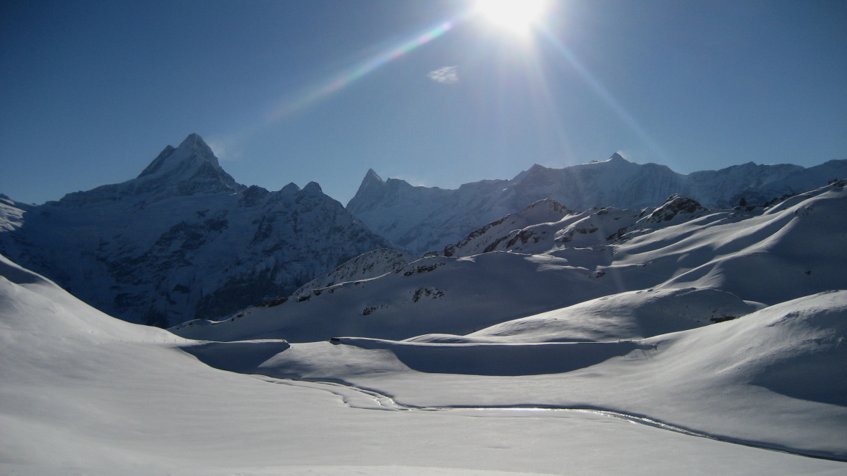 Schweizer_Alpen