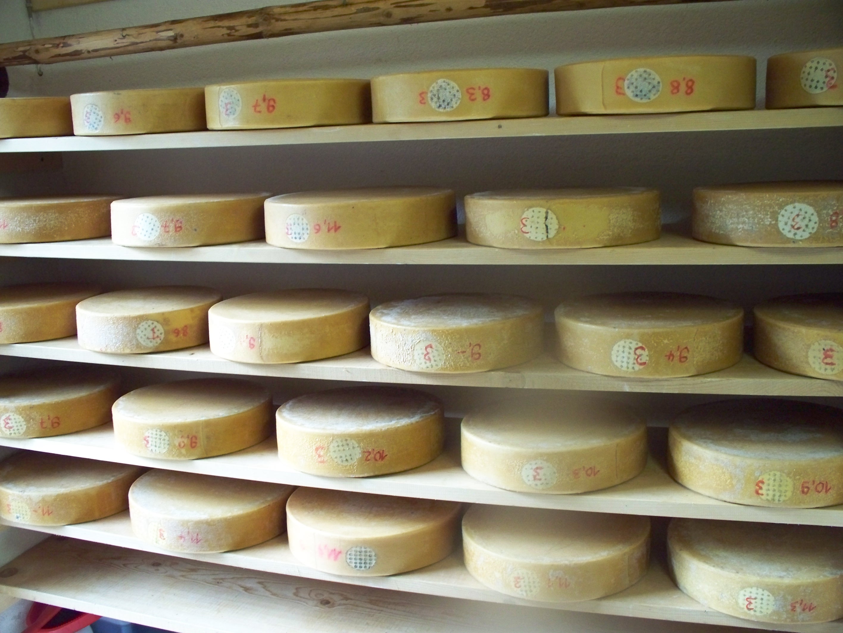 Schweizer_Käse_Berner_Oberland