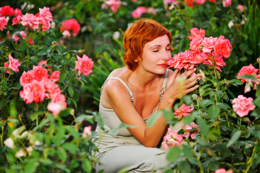 woman in a garden of roses