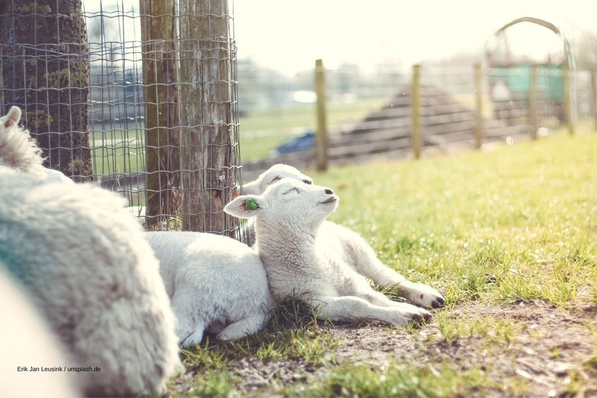 fatigue de printemps