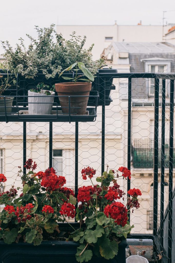 decorate your balcony with flowers