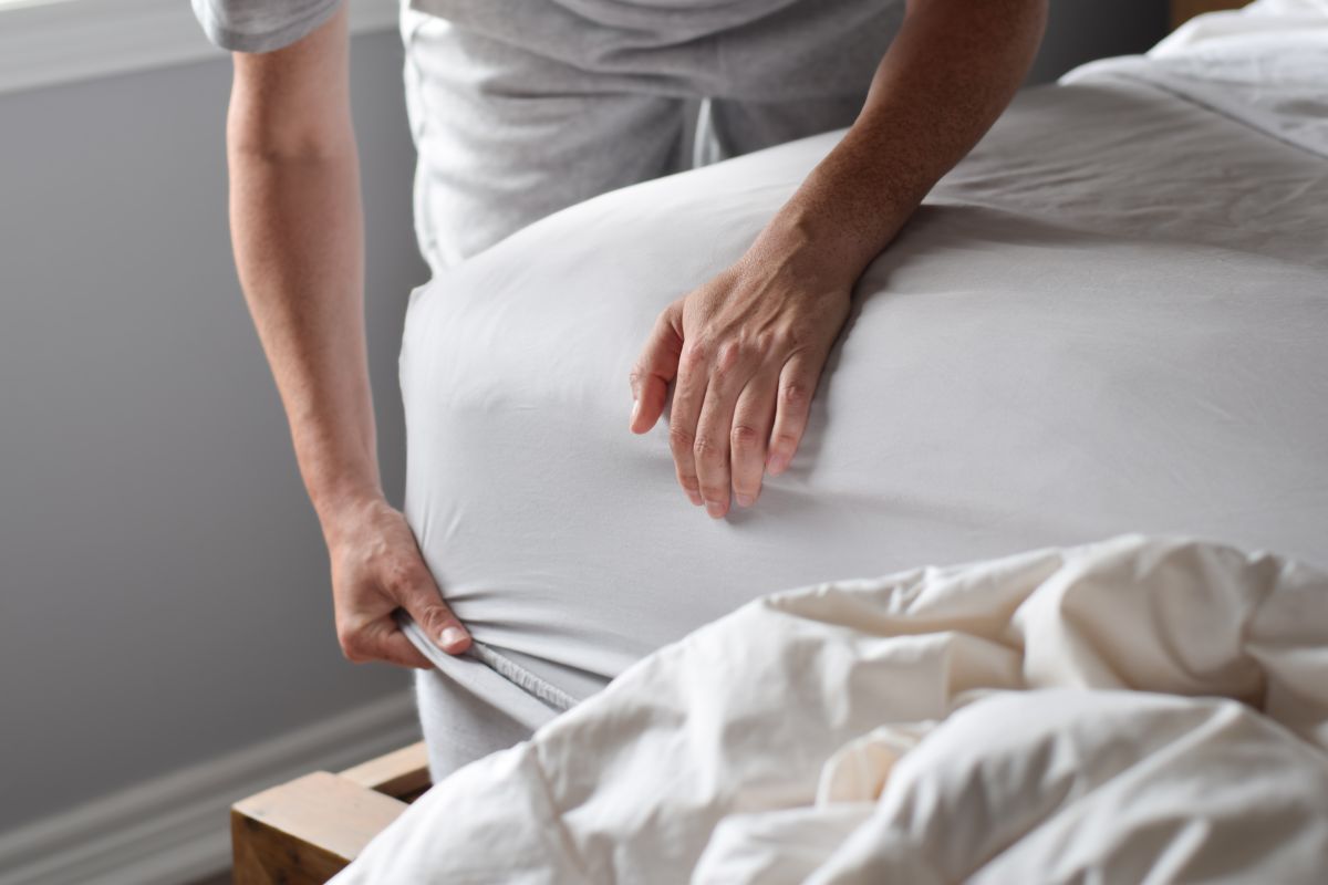 detect bed bugs mattress