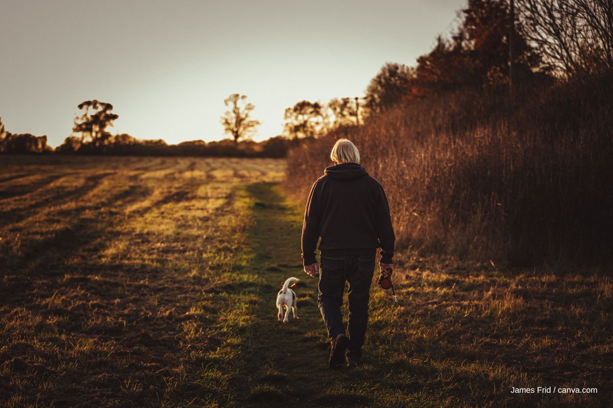 Einen abendspaziergang mit Hund