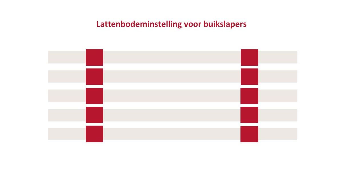 Lattenbodeminstelling voor buikslapers