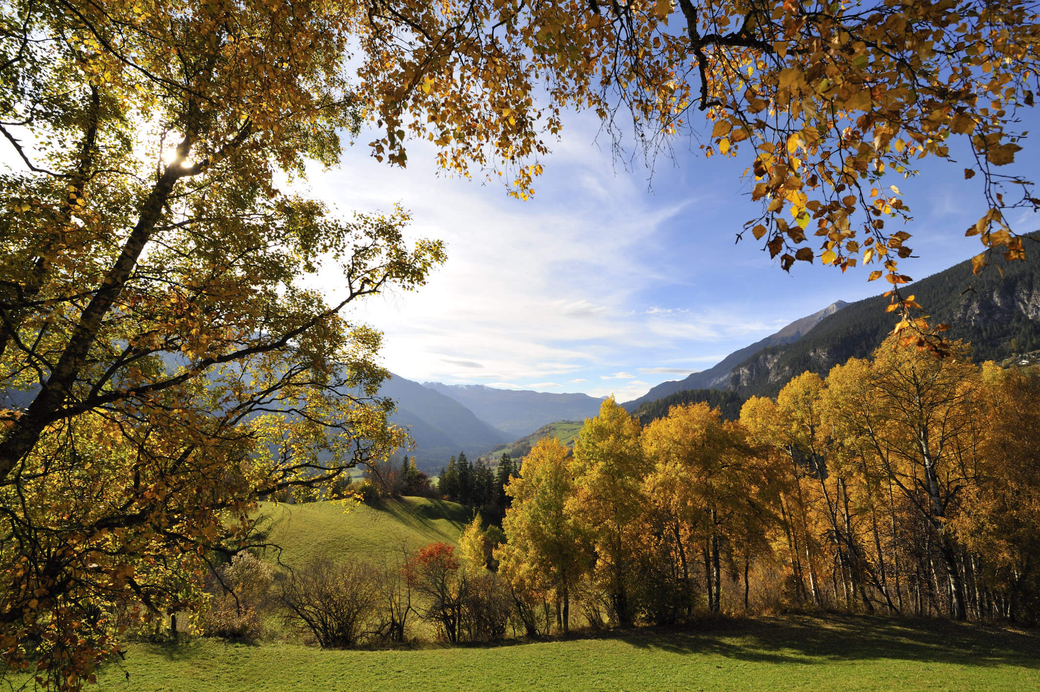 Naturpark Schweiz