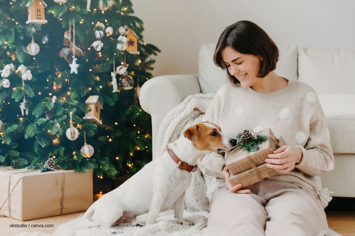 nachhaltige geschenke